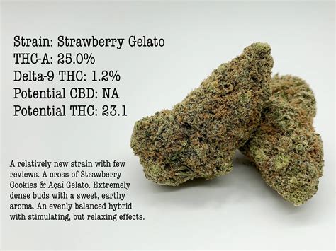 Strawberry Cherry Gelato Strain Information & Effects